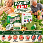 Pachet Antidurere 2 în 1 – 100 Plasturi cu Pelin + Alifie Chinezească Tigrul Alb 18,4g pentru Dureri Musculare, Reumatice, Articulare