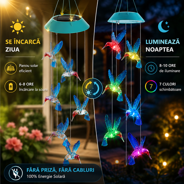 Clopoței Solari Colorați Colibri