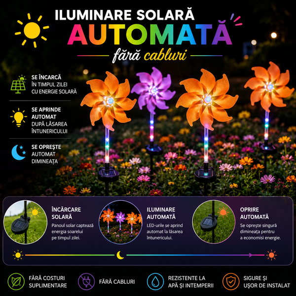 Vijelia Solară Curcubeu